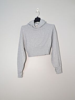 EUC Offline by Aerie Cropped Hooded Sweatshirt Gray Medium Cute Casual Cozy
